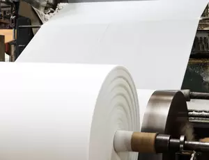 Pulp & Paper industry