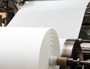 Pulp & Paper industry