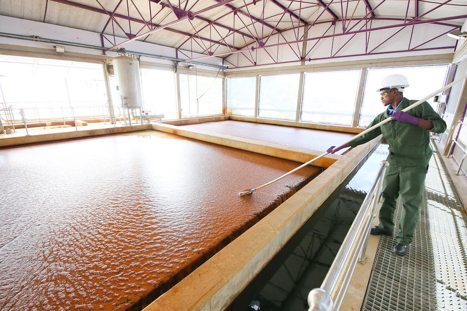 Employee recycling wastewater in Durban, South Africa