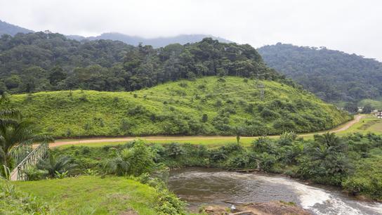 Partenariat avec l’Agence Nationale des Parcs Nationaux - Gabon